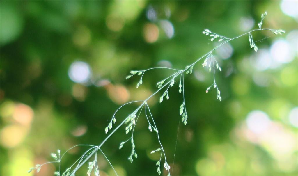Sommerzeit