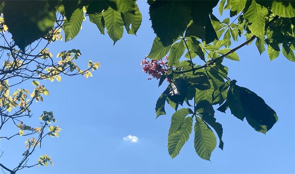 Sommerzeit
