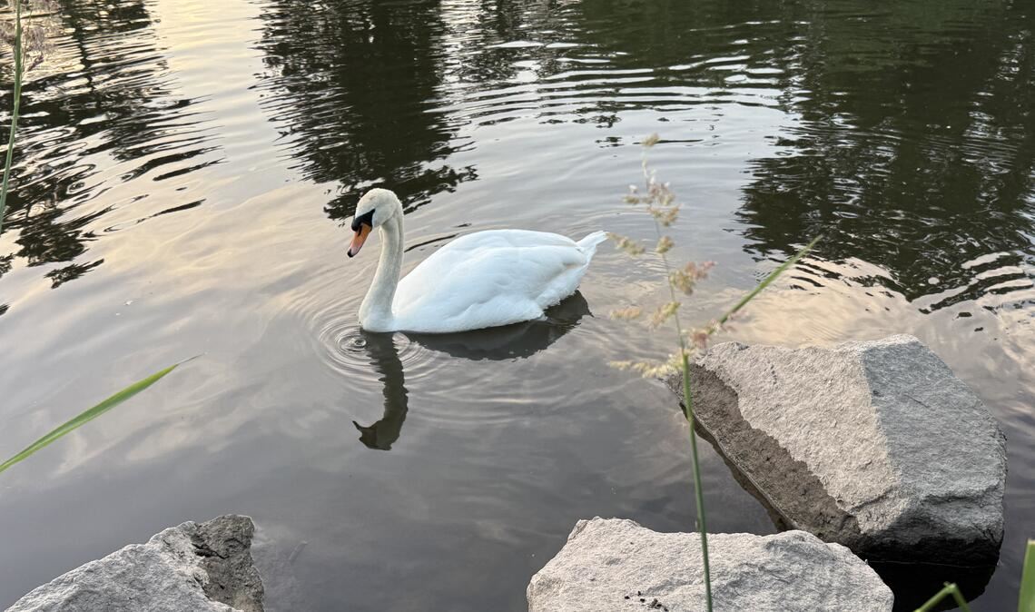 Sommerzeit
