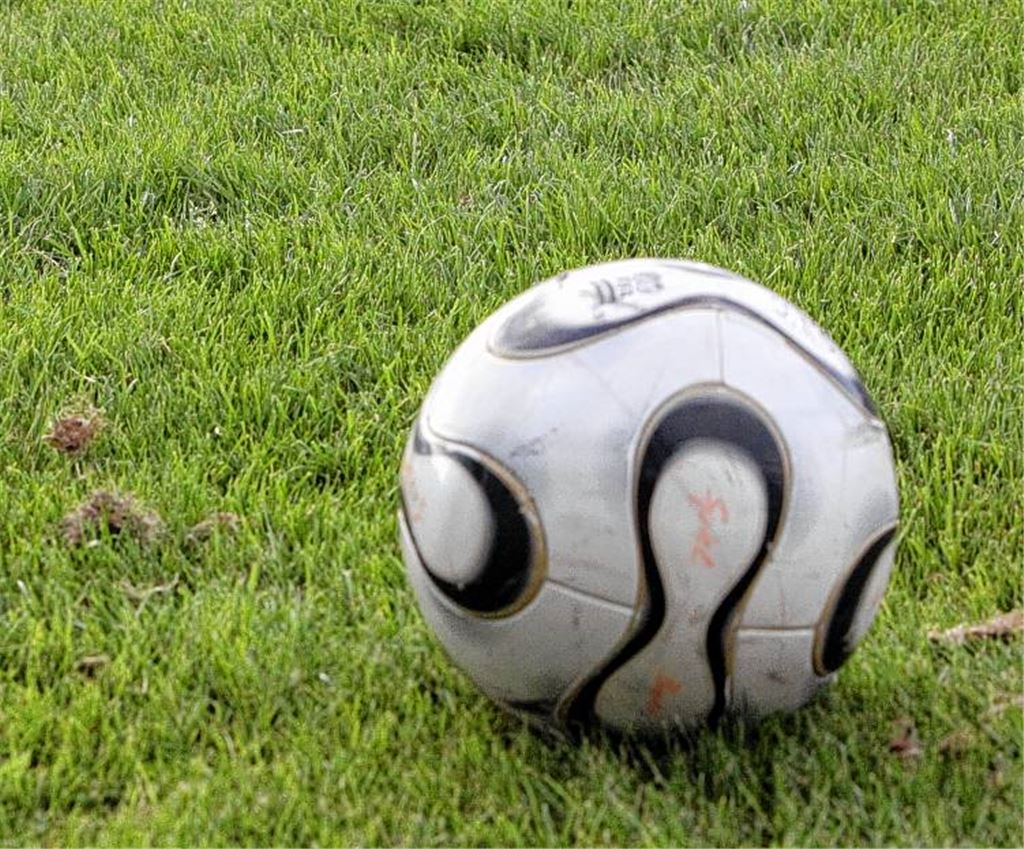 Mühlacker Tagblatt braucht Verstärkung