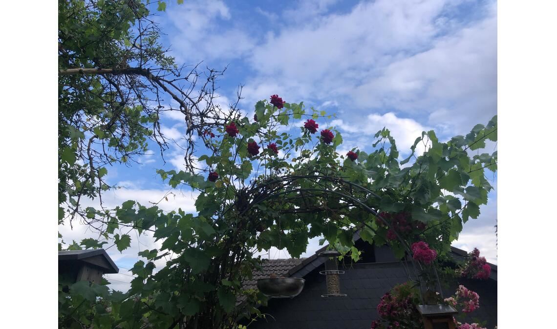 Sommerzeit