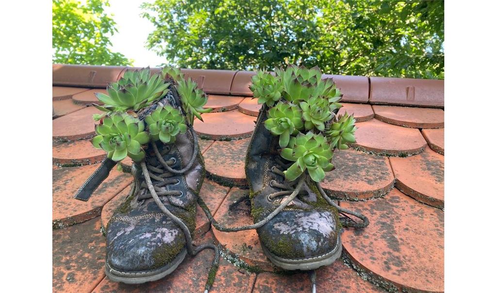 Sommerzeit