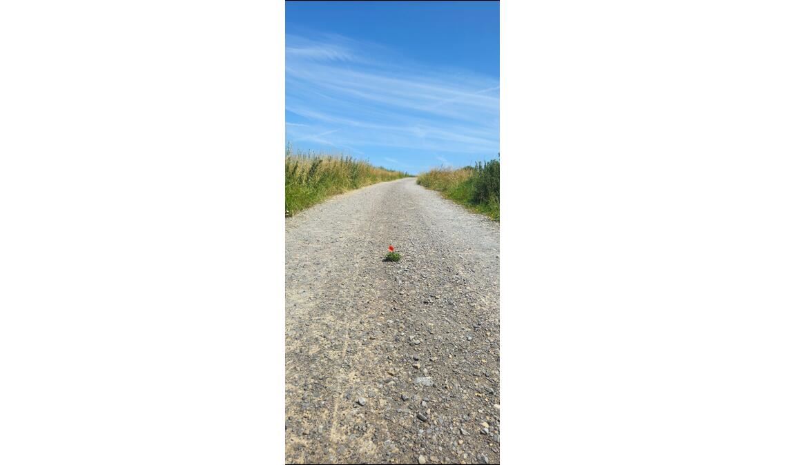 Sommerzeit