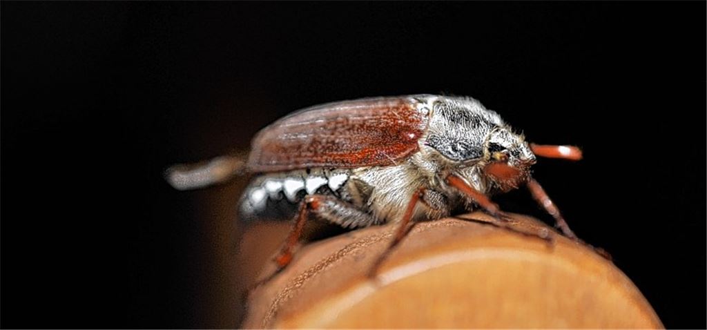 Wir sind auch schon da!