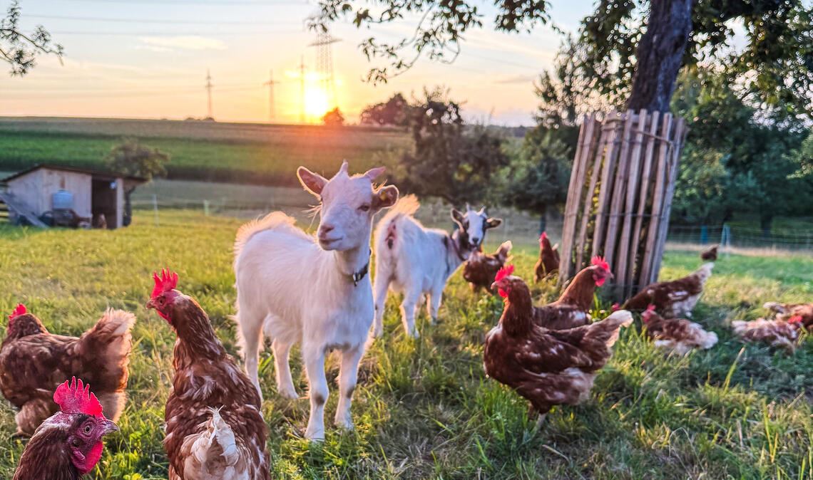 Sommerzeit Sommerzeit
