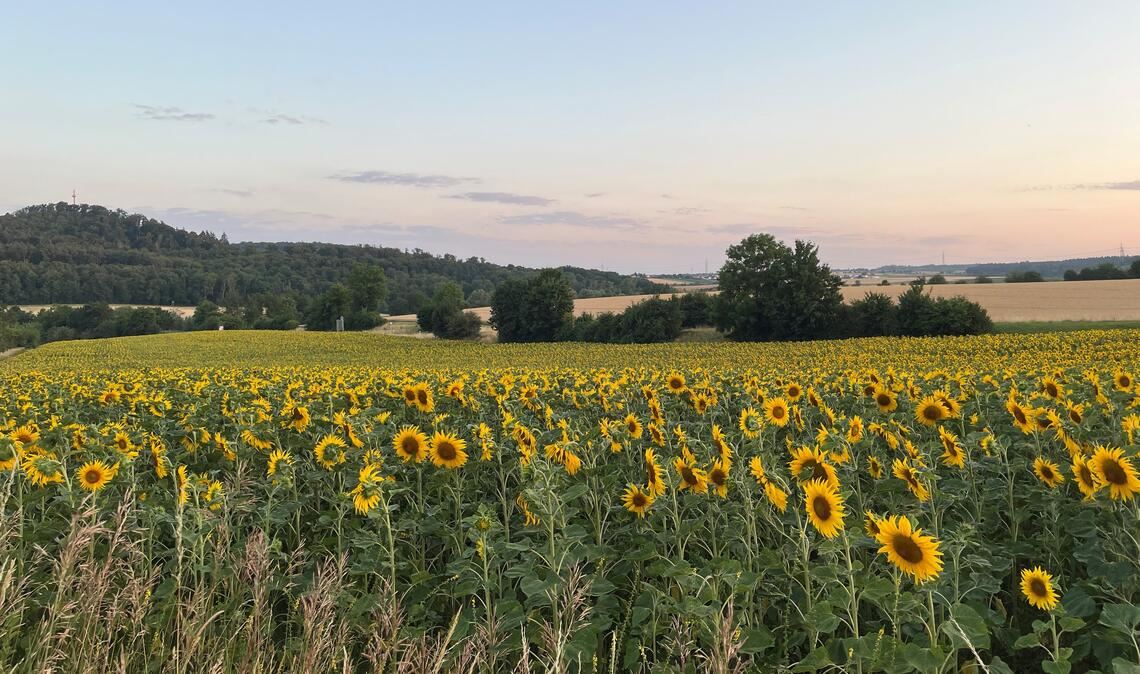 Sommerzeit Sommerzeit