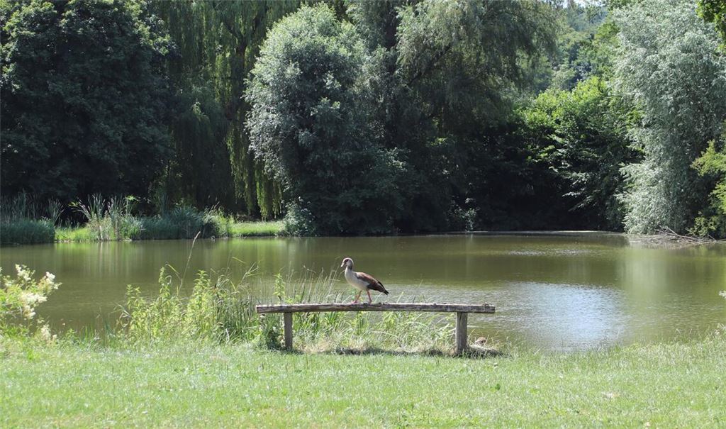 Sommerzeit