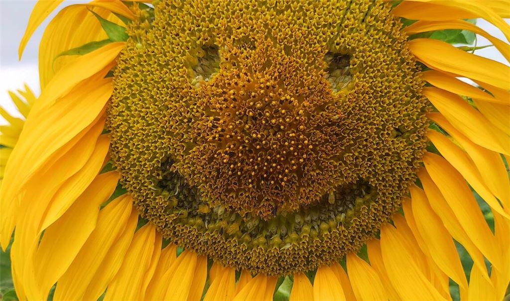 Sommerzeit