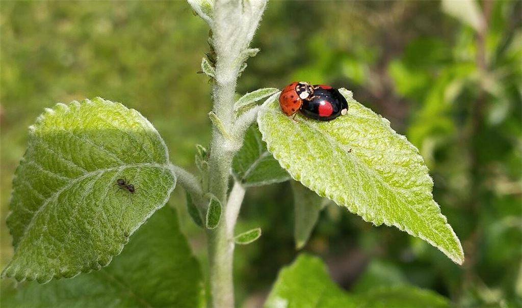 Sommerzeit