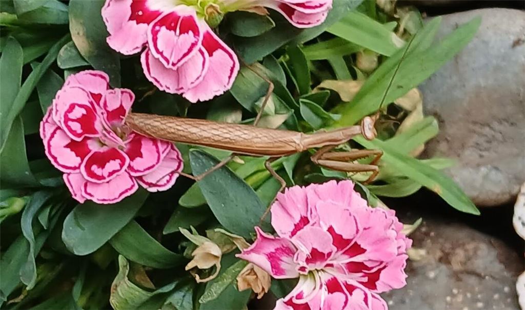 Sommerzeit