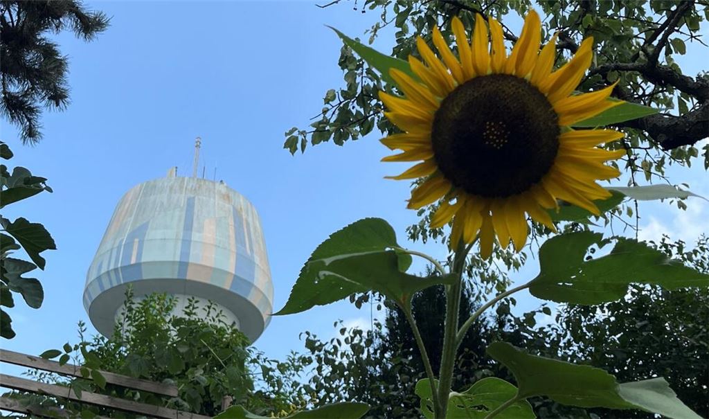Sommerzeit