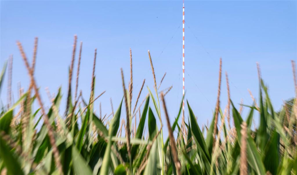 Neuen OB erwartet lange To-do-Liste