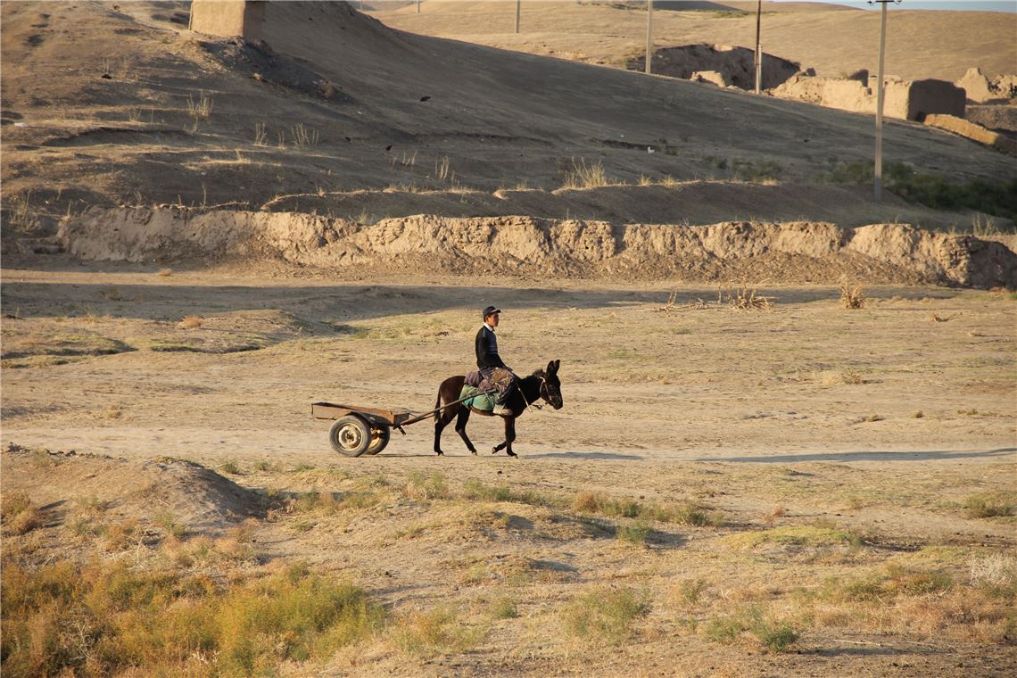 Vielfältige Eindrücke und kulturelle Erfahrung: Die MT-Leserreise nach Usbekistan. (Foto: Hans-Ulrich Wetzel)