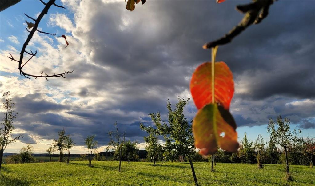Herbstfarben