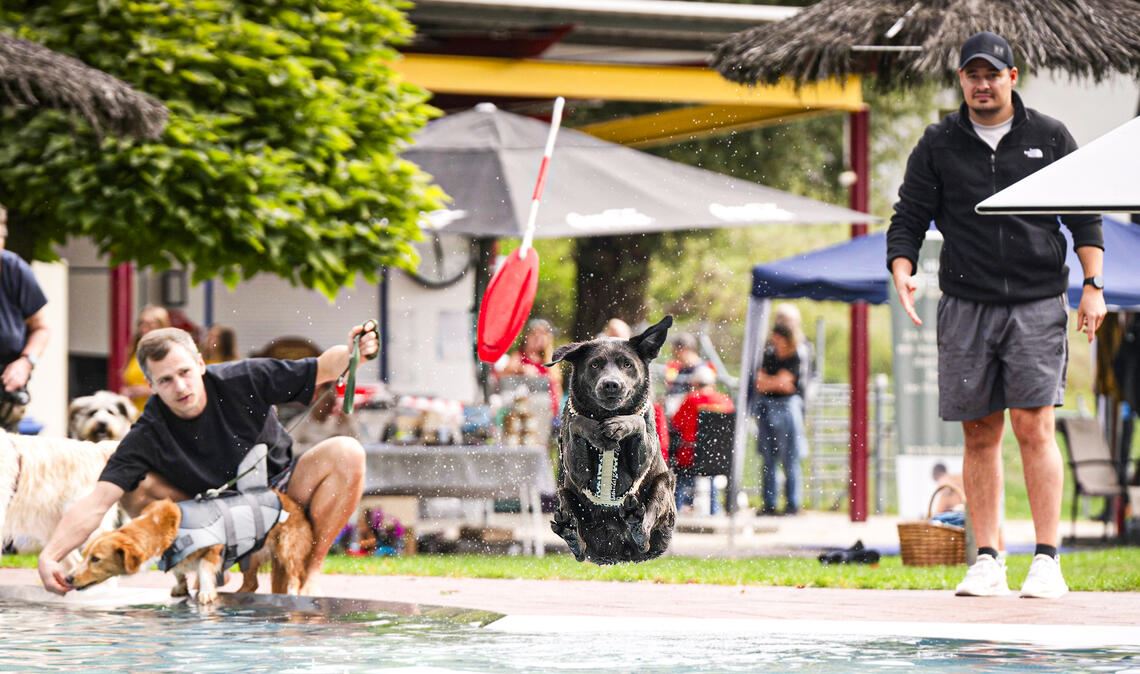 Schwimmen im Frei-Schnauze-Stil