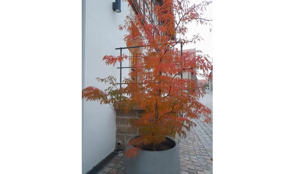 Herbstfarben