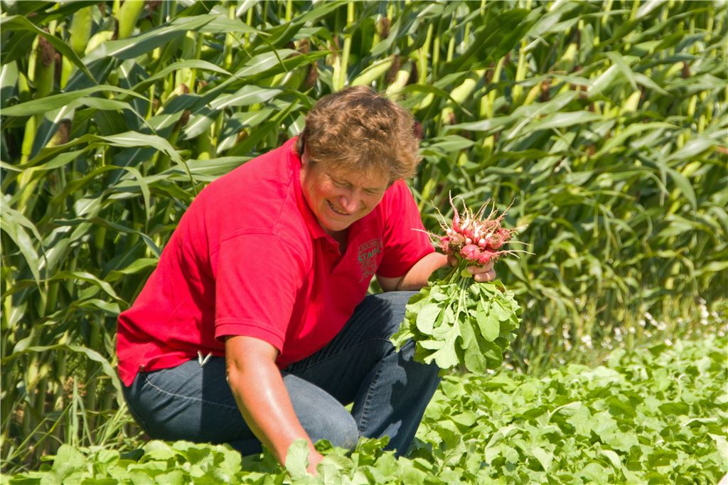 Alle packen an: In der Erntezeit werden Christel Stahl und ihre Familie von Saisonarbeitern unterstützt. Foto: Recken