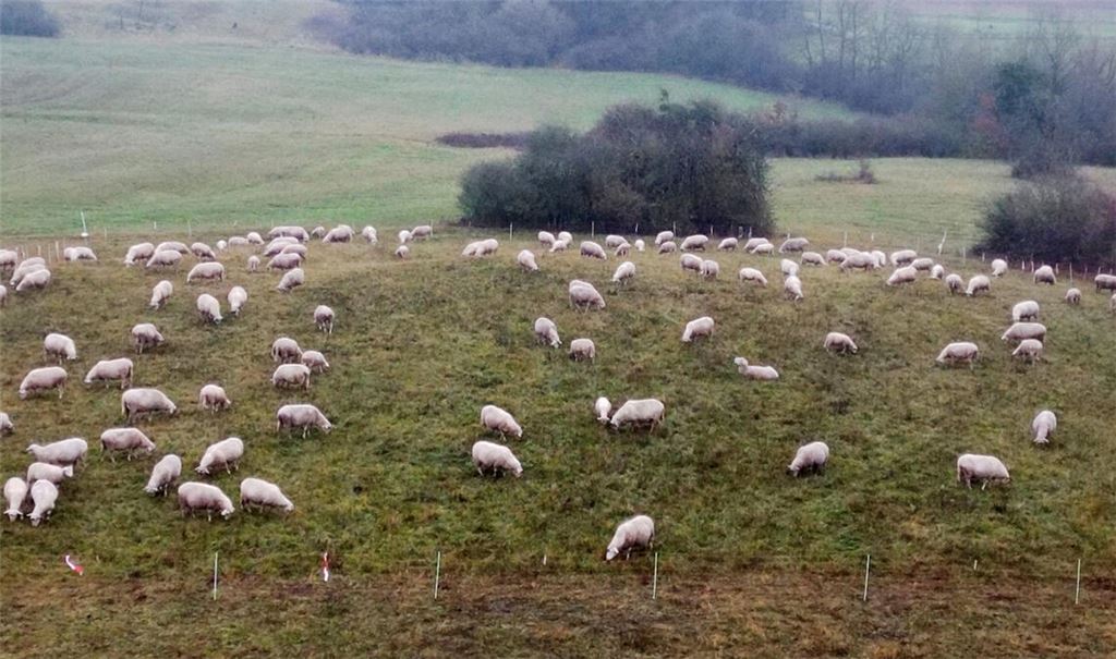 Impulse für den Artenschutz