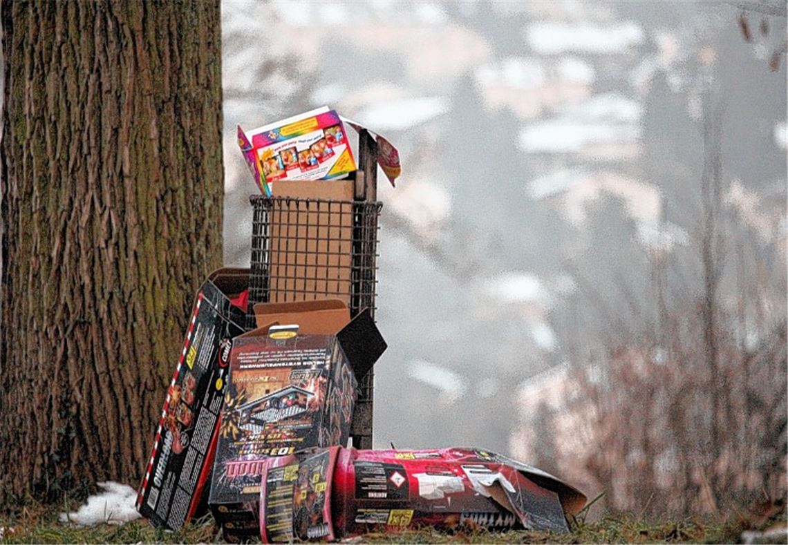 „Es sieht fürchterlich aus“