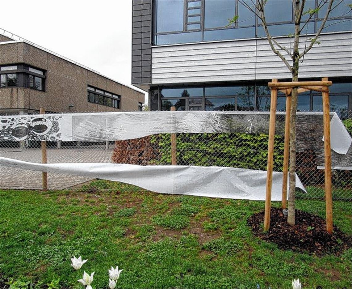 Banner der Schüler mutwillig zerfetzt