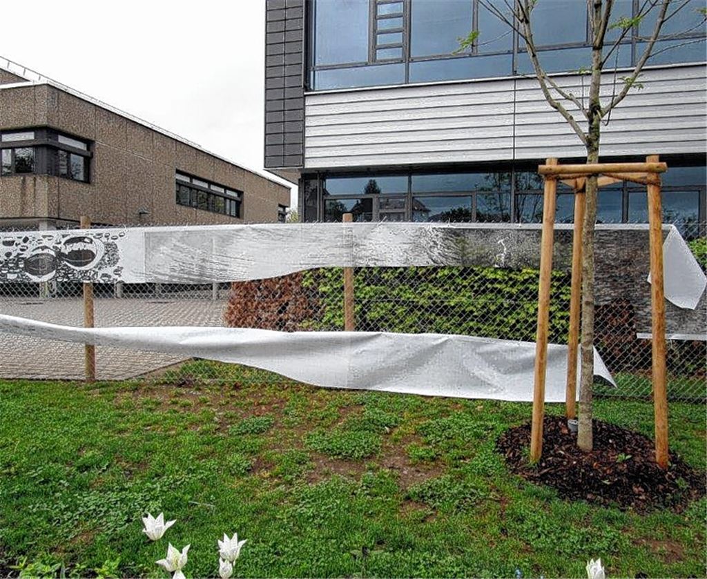 Banner der Schüler mutwillig zerfetzt