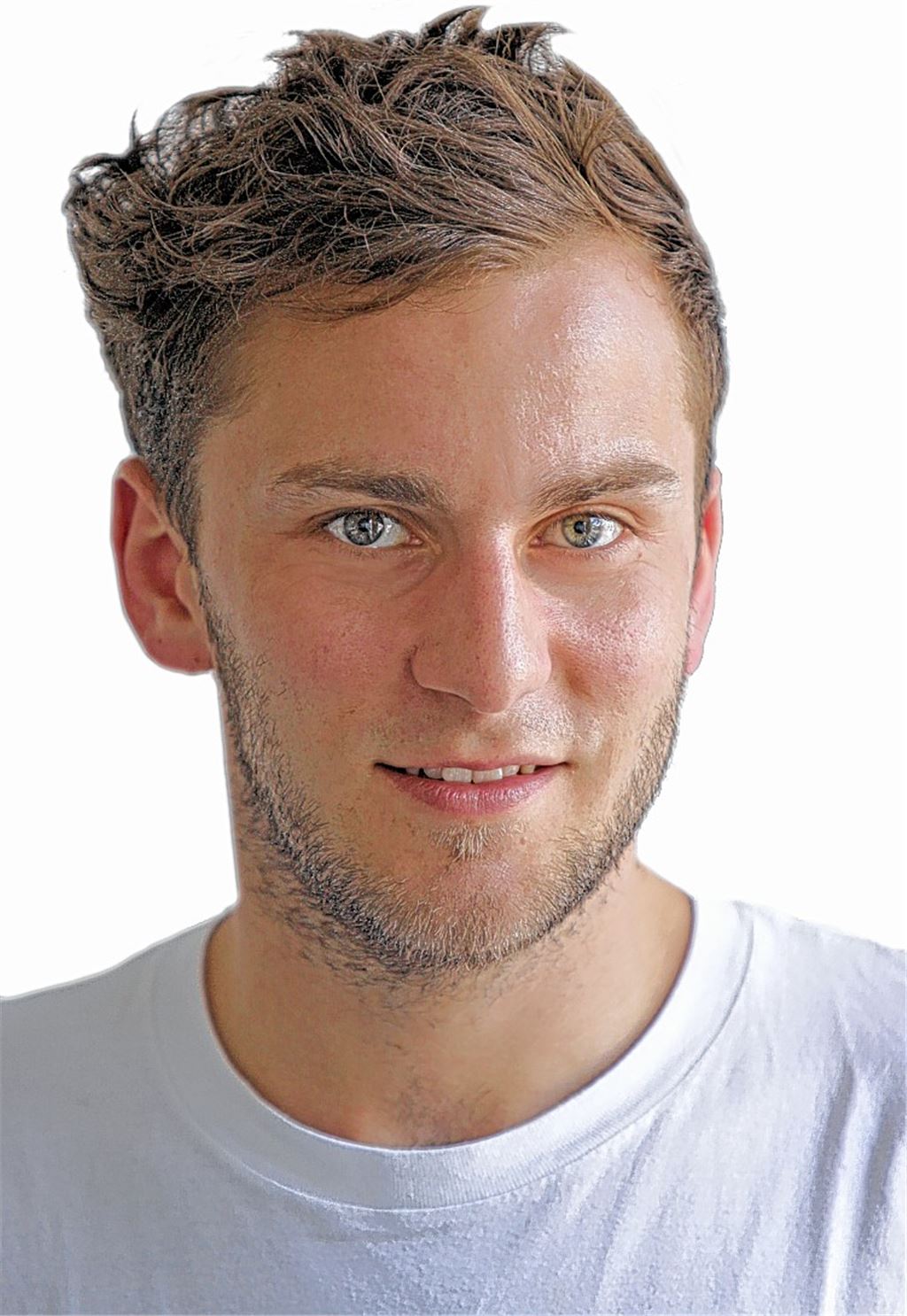 Niemand will ins Wespennest