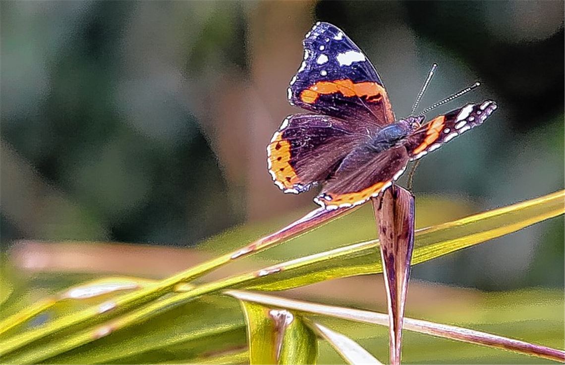 Sommerzeit Sommerzeit