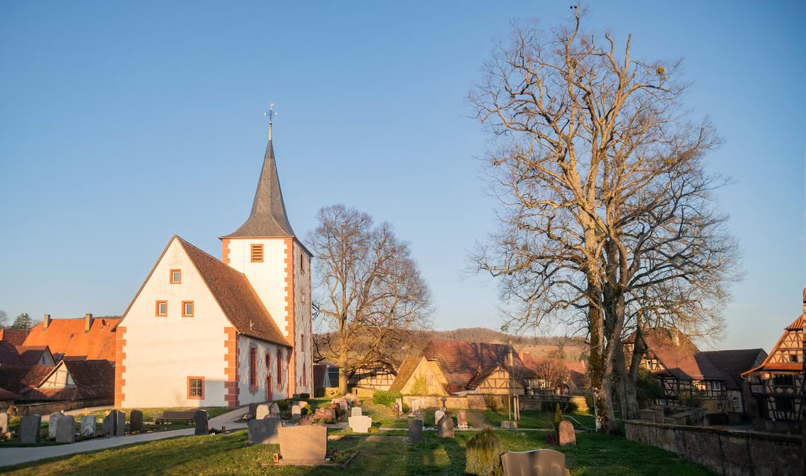Alte Linden beschäftigen Gemeinde