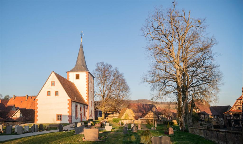 Alte Linden beschäftigen Gemeinde