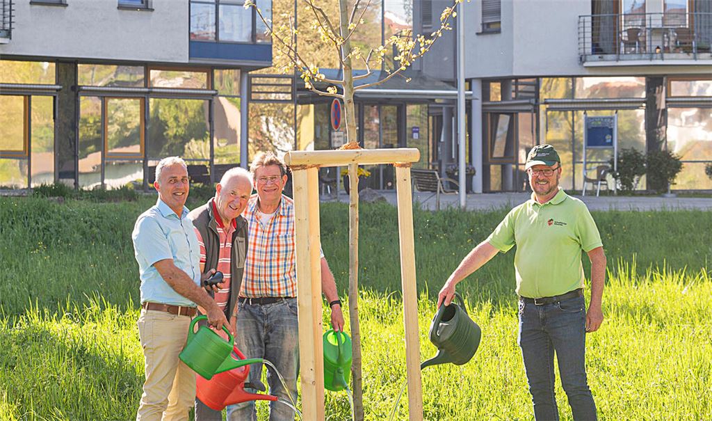 Albverein pflanzt „Baum des Jahres“