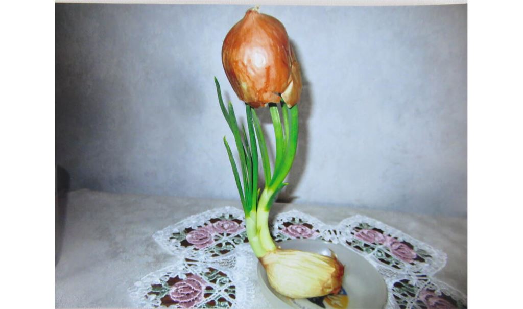Frühlingsgefühle