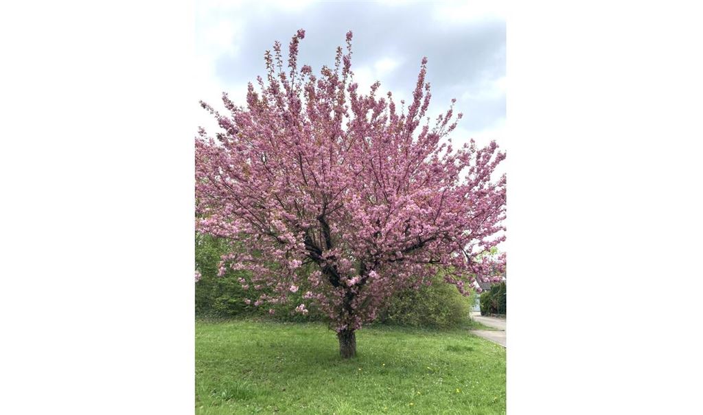 Frühlingsgefühle