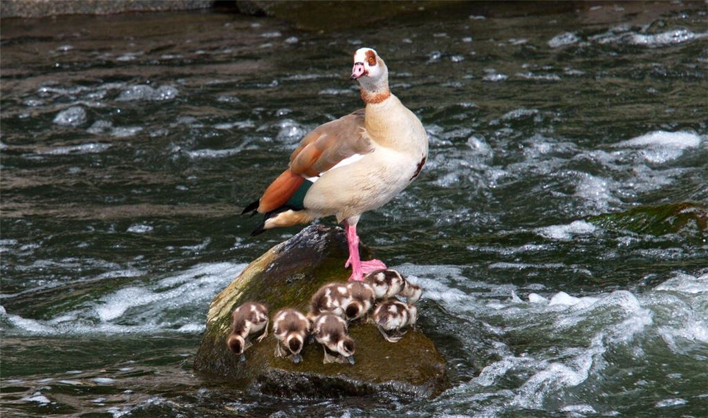 Frühlingsgefühle