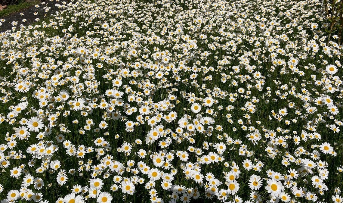 Frühlingsgefühle