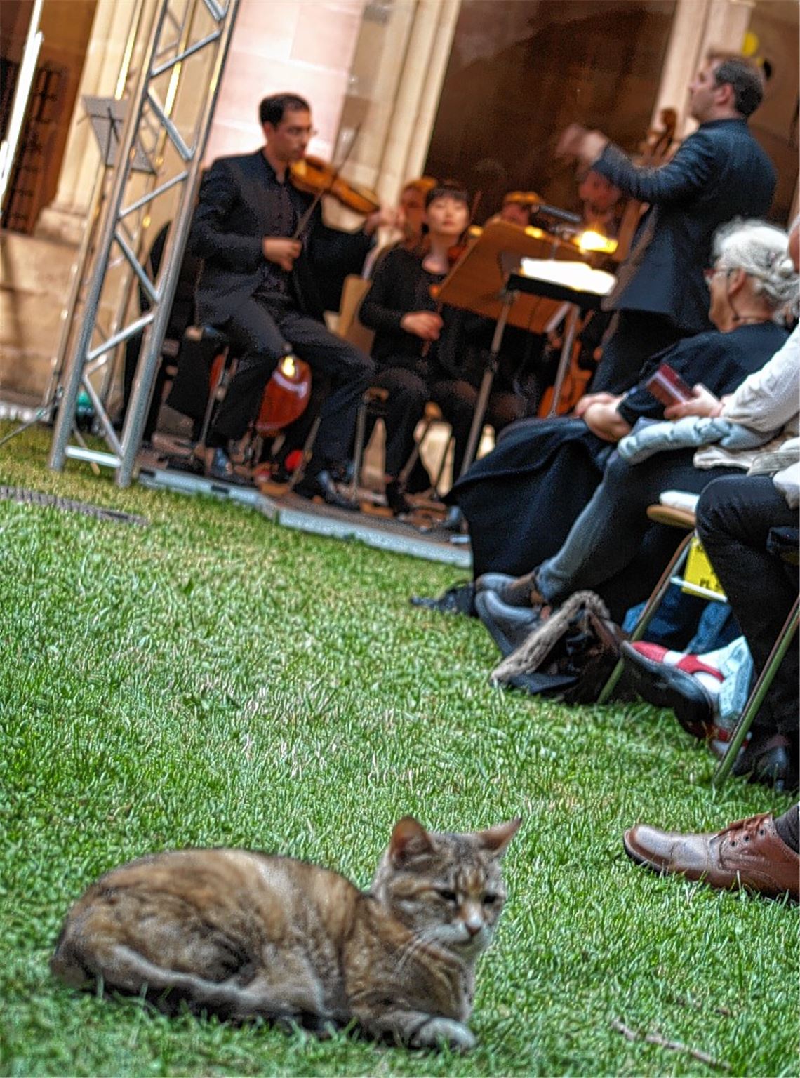 Kunst für die Katz Kunst für die Katz