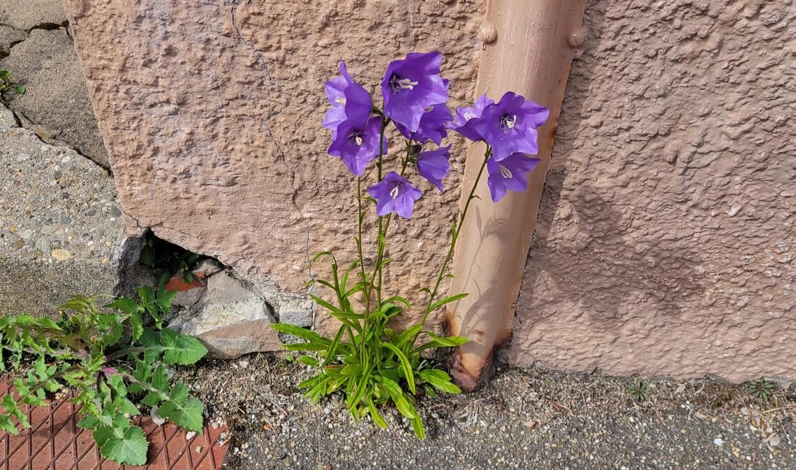 Frühlingsgefühle