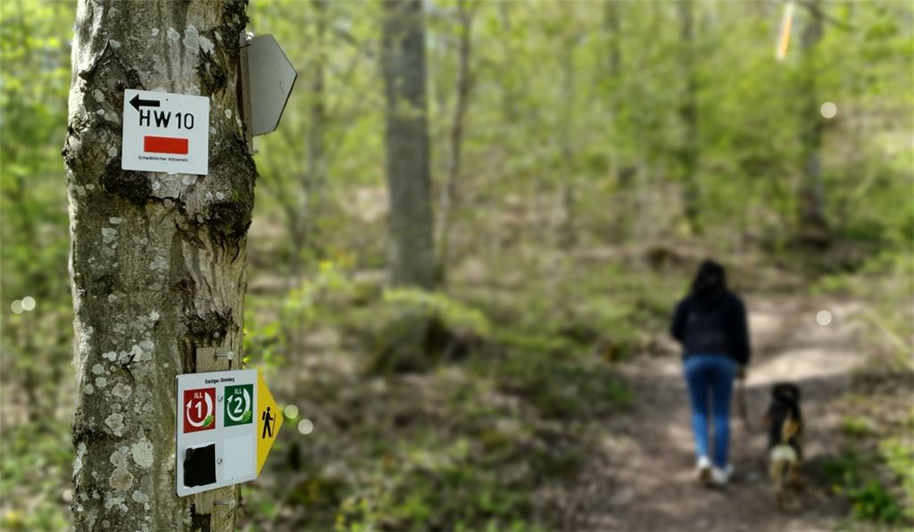 Wanderweg wegen Unfallgefahr verlegt