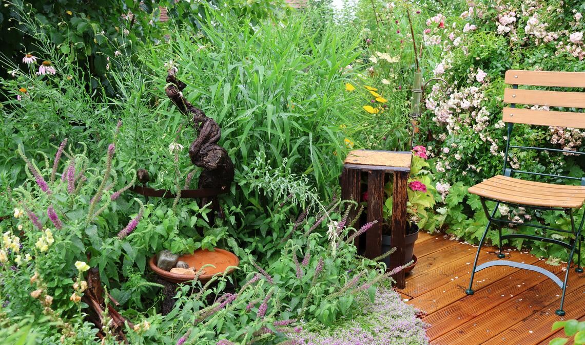 Refugium für Tiere im heißen Garten