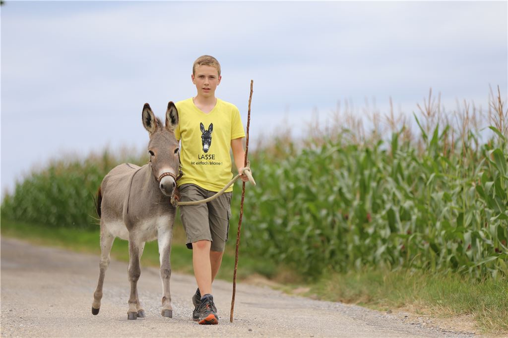 Tim Ruf und „Lasse“ sind gute Freunde. Muss der zwölfjährige Enzweihinger nicht gerade für die Schule büffeln, geht er mit seinem Esel spazieren. Foto: Huber