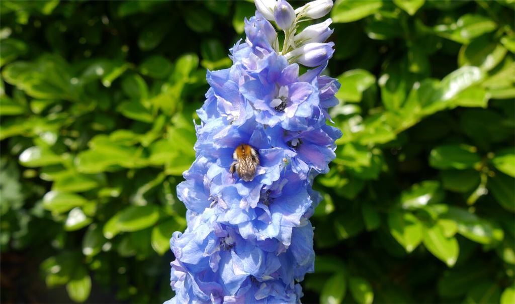 Sommerzeit