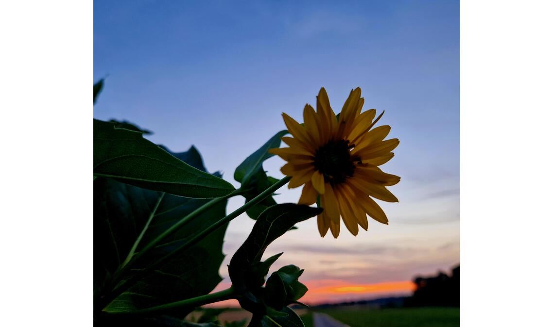Sommerzeit