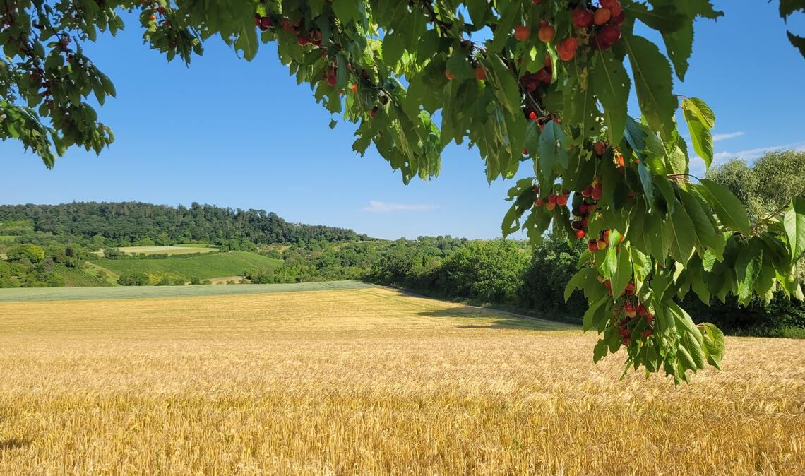 Sommerzeit