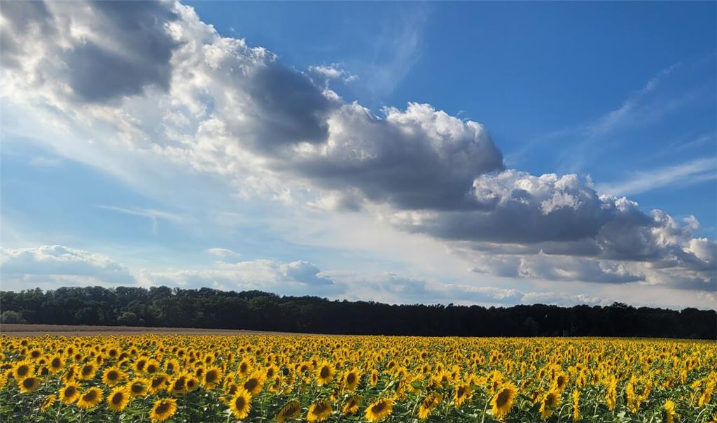 Sommerzeit
