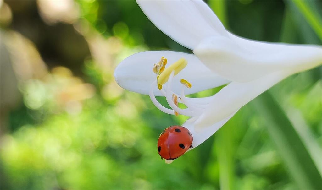 Sommerzeit