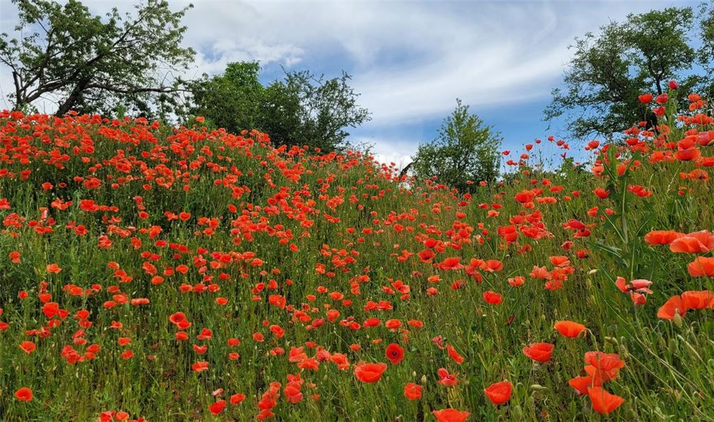 Sommerzeit