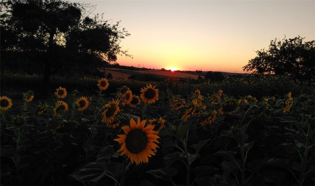 Sommerzeit