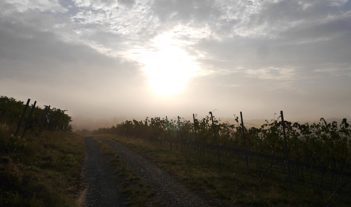 Sommerzeit