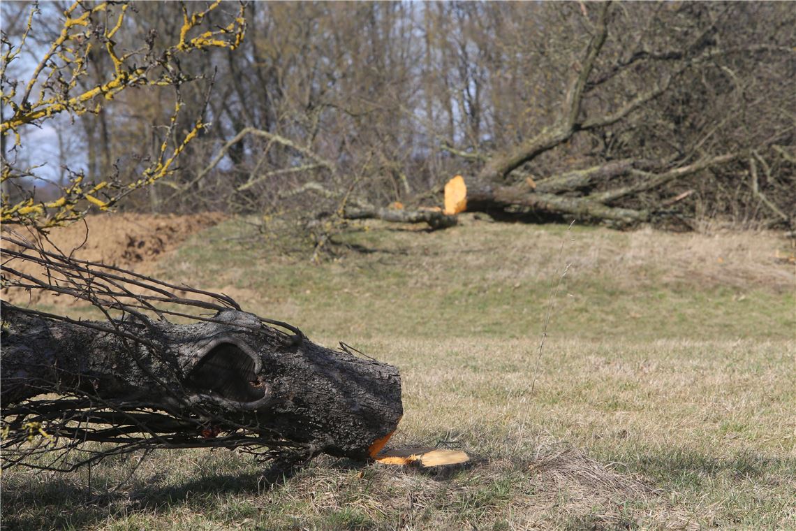 lh Gewerbegebiet Lug-Osttangente (1)