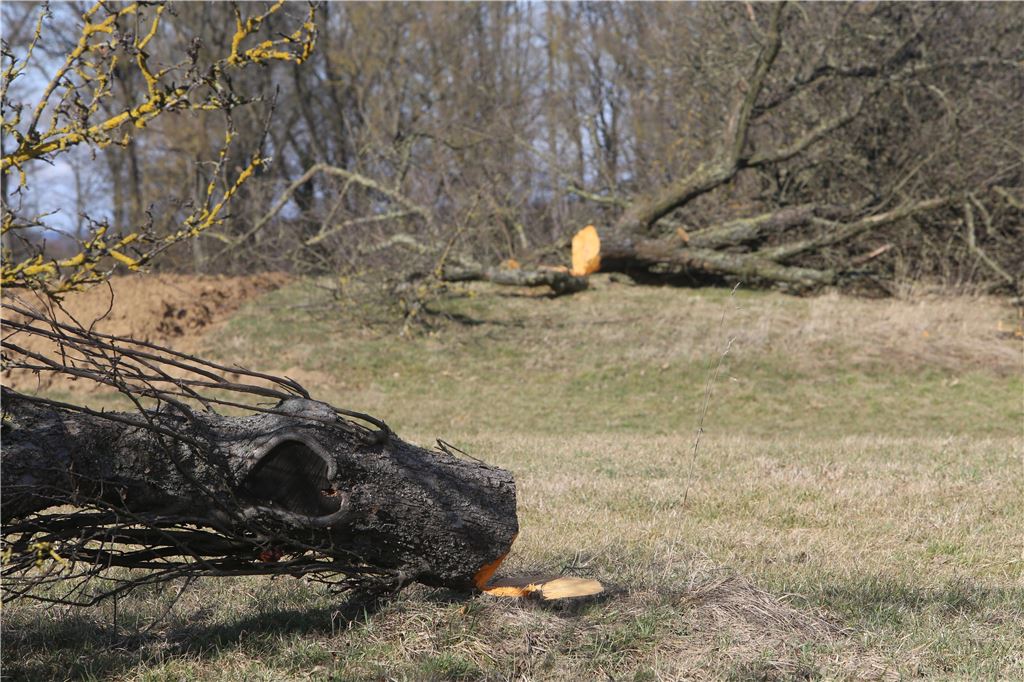 lh Gewerbegebiet Lug-Osttangente (1)