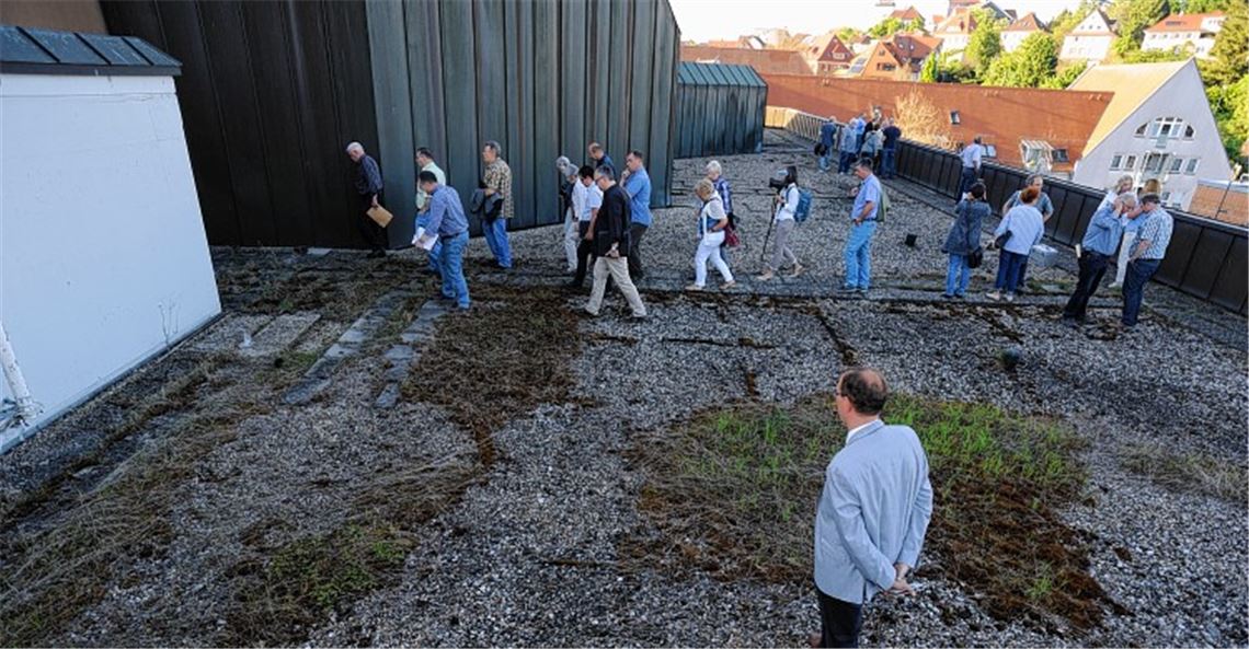 Was macht der Mühlehof?